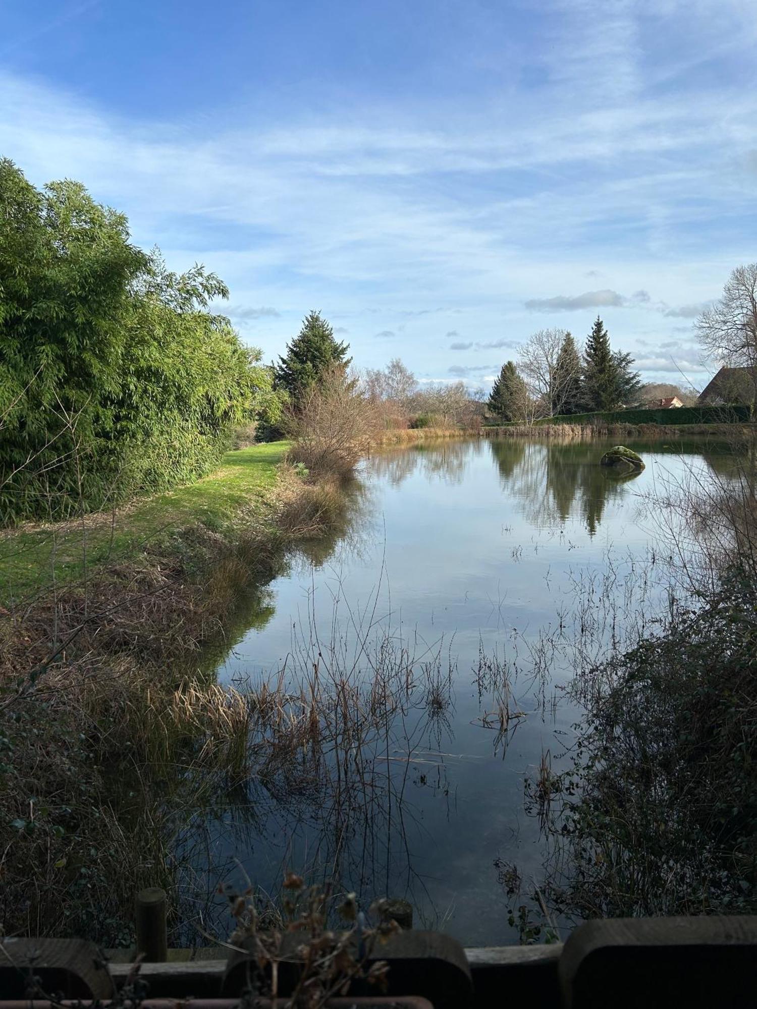 Le Domaine De La Vergnolle Roches  Zewnętrze zdjęcie
