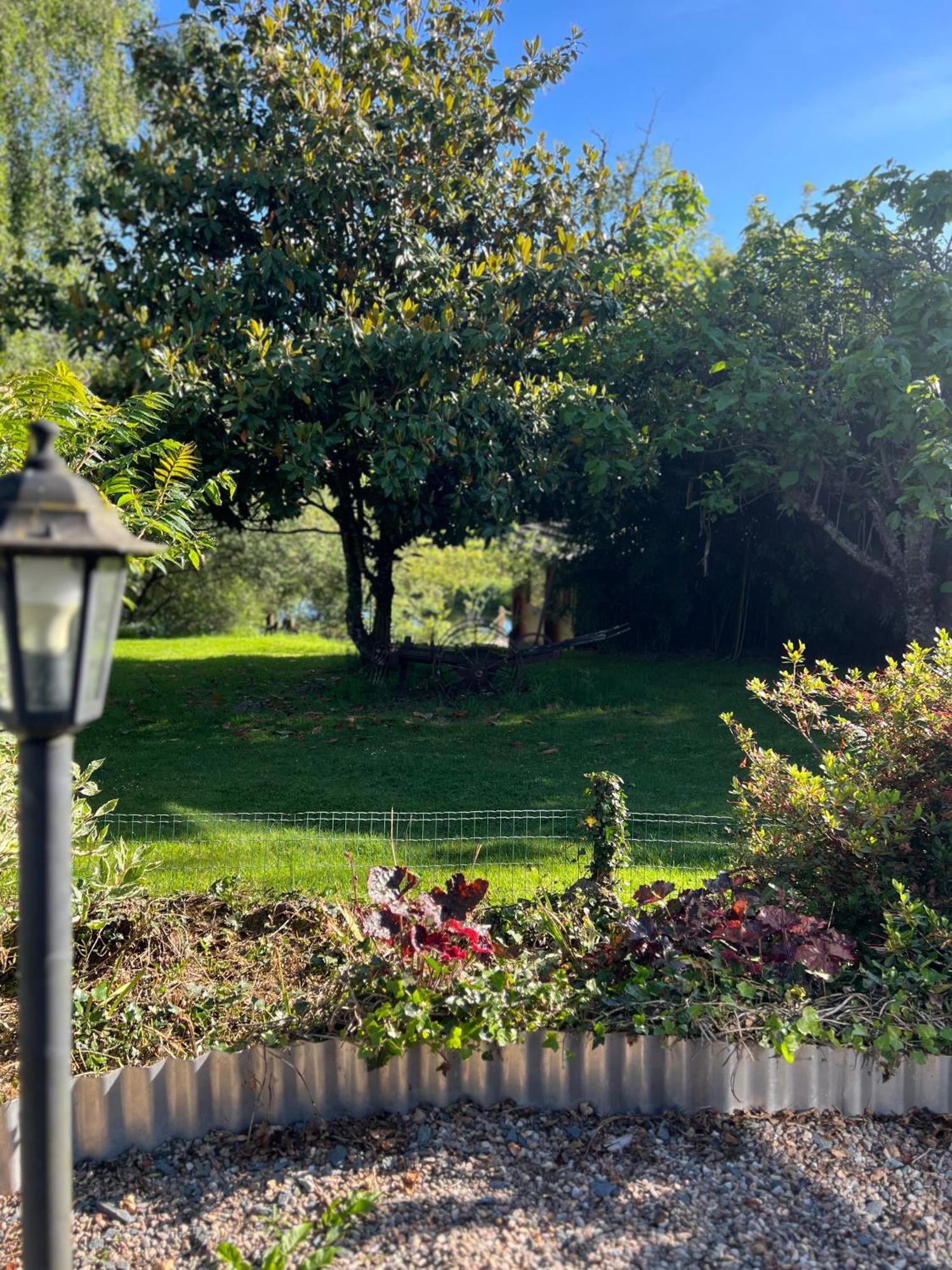 Le Domaine De La Vergnolle Roches  Zewnętrze zdjęcie