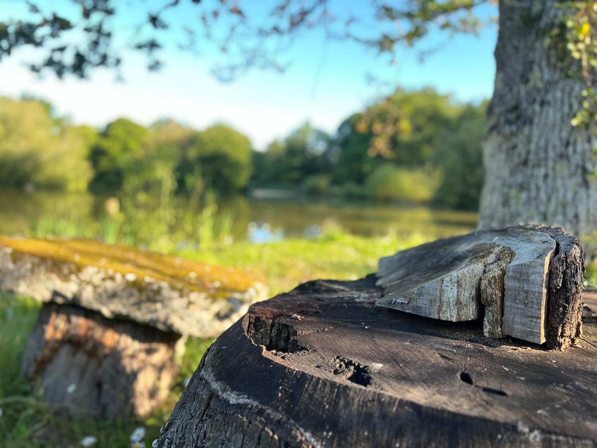 Le Domaine De La Vergnolle Roches  Zewnętrze zdjęcie