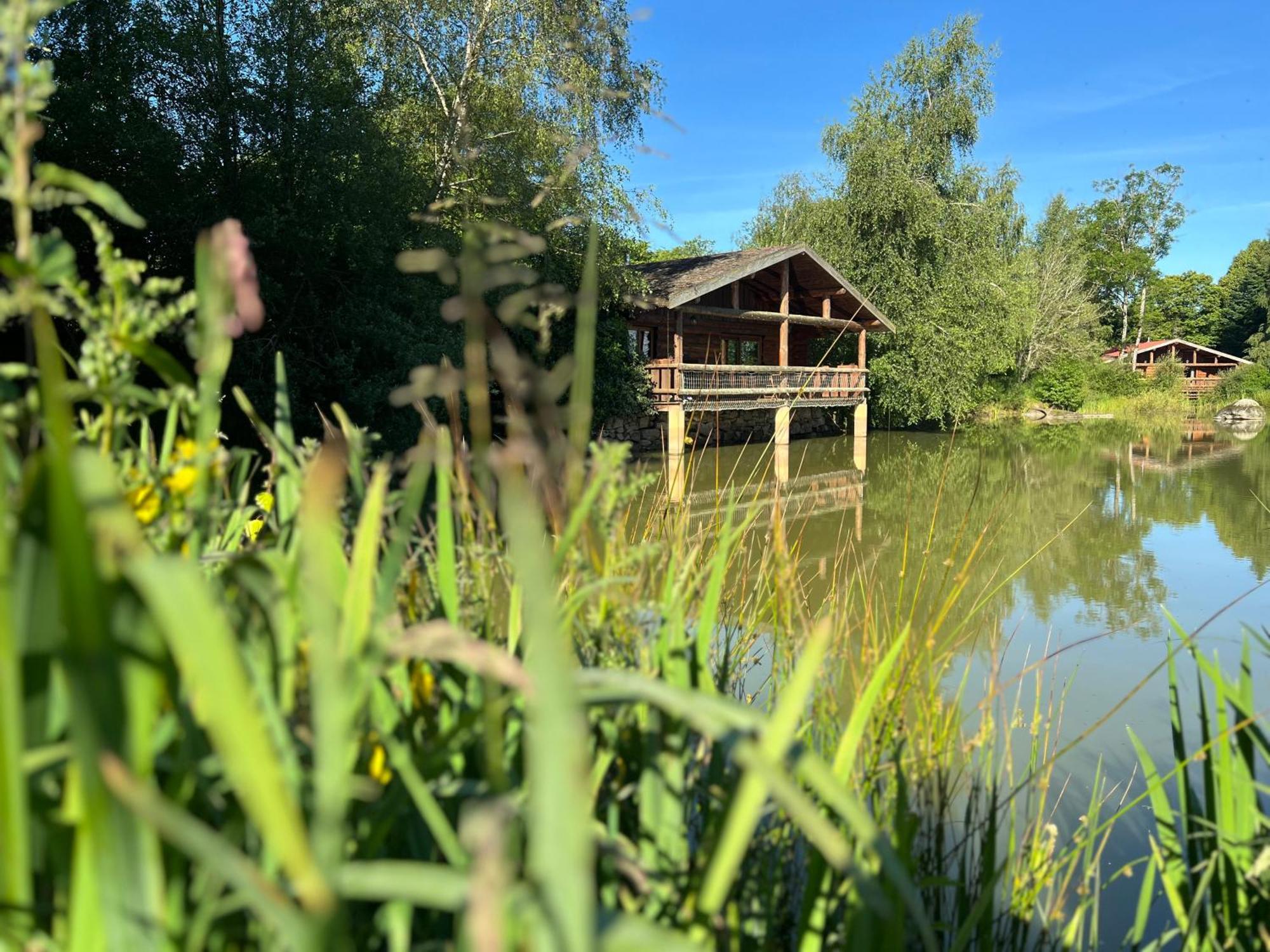 Le Domaine De La Vergnolle Roches  Zewnętrze zdjęcie
