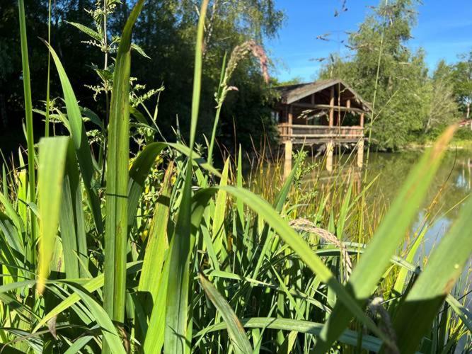 Le Domaine De La Vergnolle Roches  Pokój zdjęcie